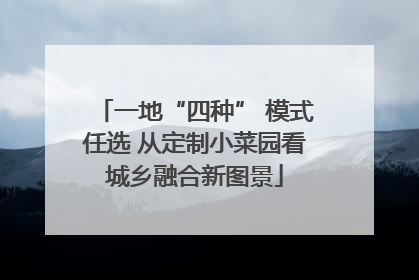 一地“四种” 模式任选 从定制小菜园看城乡融合新图景